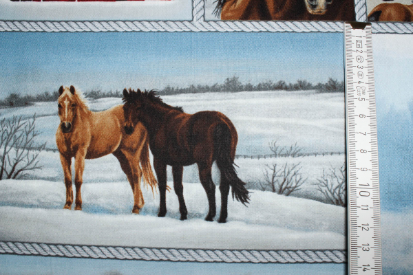 Designerbaumwollstoff Horse Whisperer Rapport